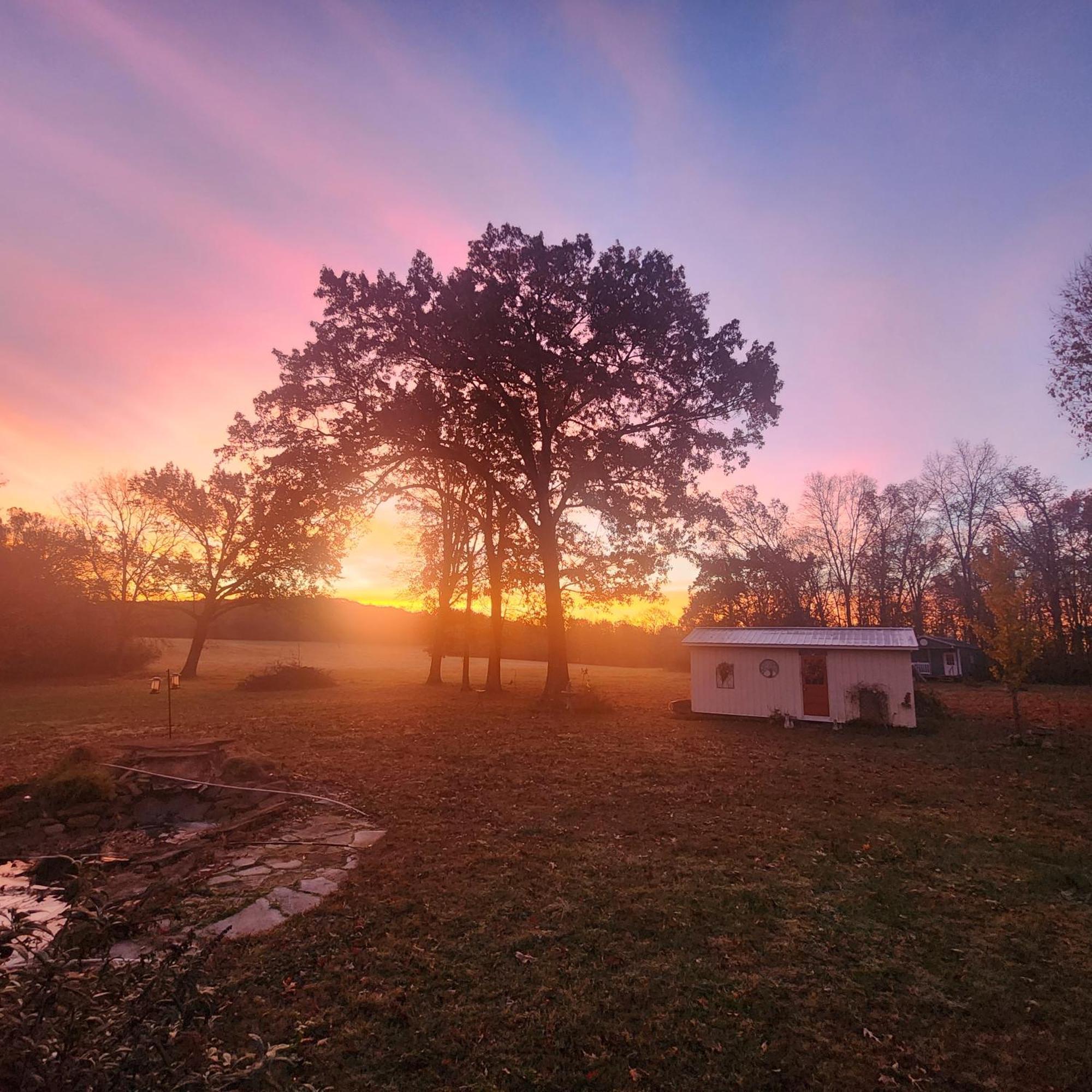 Sisters On Sycamore B&B Russellville Екстер'єр фото